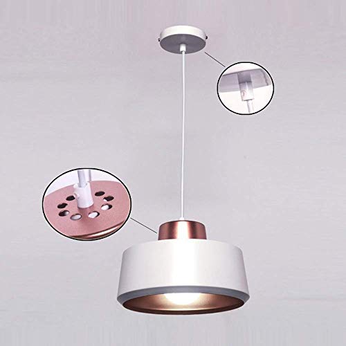 Lámpara colgante moderna de oro rosa estilo industrial vintage para techo 4