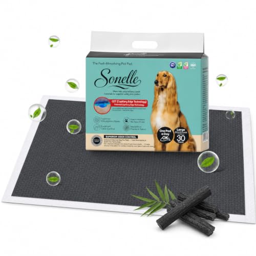 Image of Charcoal Pee Pads for Dogs - Large 29.5 inchx23.6 inch Puppy Pads, Activated Charcoal Odor Control - Leak-Proof CET Edge, 7-Layer 800ml Absorption, Quick-Dry - Made in Korea - 30 Count