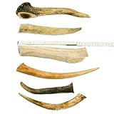 RF - Deer B0D5D65XK2 lato 2