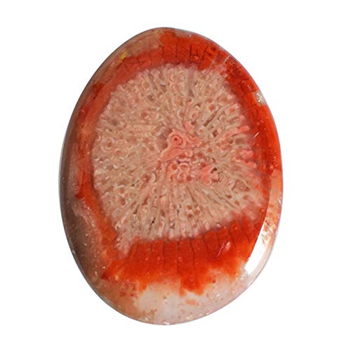 Cabochon en corne rouge de l'Utah 27 CTW, gemme naturelle d'exception 29x22mm