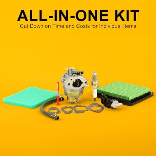 Panari Carburetor Kit - All-in-One