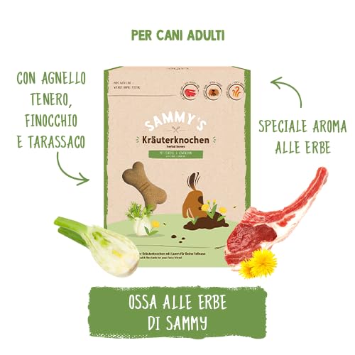 Sammy´s Kräuterknochen | Schonend gebackene Hundesnacks | Mit feinem Lamm, Fenchel & Löwenzahn | Besonderes Kräuter-Aroma | ohne Zuckerzusatz | 1x 1 kg
