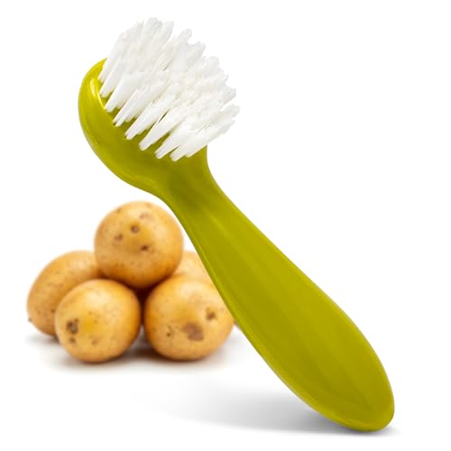 Joie Potato Scrub Brush, Ergonomic Easy Grip Handle, Ideal for Cleaning Vegetables and Fruits, Small and Compact, Handy Kitchen Gadget, BPA-Free, Dishwasher Safe, Green