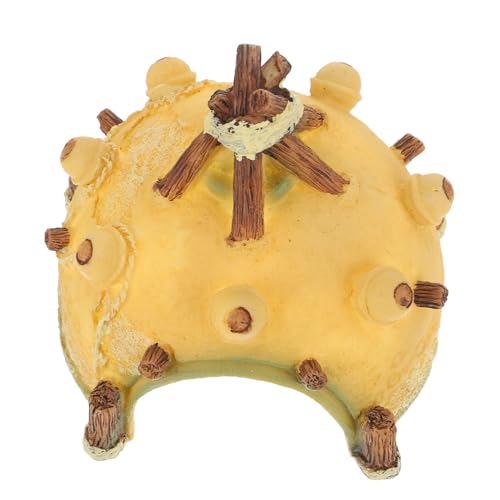 UTHCLO WANAEI[ig ^NpB eg`঒ރVF^[  GrJ̋xe  Bꏊ