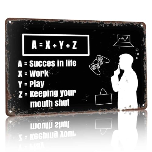 X Y Z Succes Life Work Play Metal Sign 8 x 12 Inch