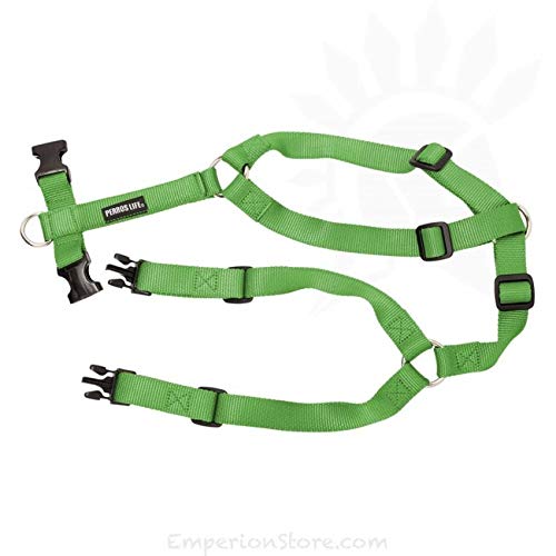 Pettorina alla Romana Modello ad H Cane Torace 51-69 cm Peso 11-17 kg (Verde)