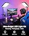 UBeesize 2-Pack LED Video Light Kit, 3000-6500K Dimmable Photography Studio Lights with Tripod Stand & Phone Holder, Video Recording & Streaming Lighting for Makeup, Gaming, YouTube