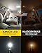 BANGO 194 LED Bulb, 6000K White Super Bright 168 T10 2825 W5W LED Replacement Bulbs for Car Interior Dome Map Door Courtesy Trunk Side Marker License Plate Lights, Pack of 10
