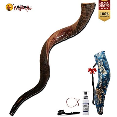 ProShofar Israel Shofar Set, Natural Kudu Horn Shofar, Kosher Shofar Yemenite Traditional Musical Instrument for Jewish Spiritual Ceremonies and Religious Sermons, Made in Israel Cover