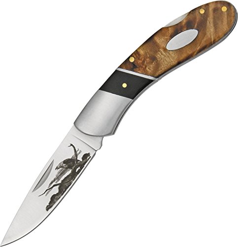 Elk Ridge - Outdoors Manual Folding Knife - 3.25-in Satin Finish Stainless Steel Blade with Eagle Design, 2 Tone Burl Wood Handle with Lockback, Hunting, Camping, EDC - ER-072E