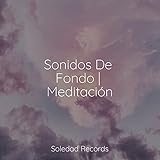  Músculos Relajados