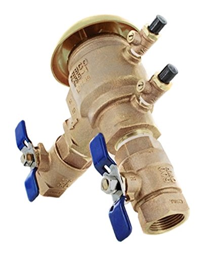 Febco 1" BV-Pressure Vacuum Assembly, 765