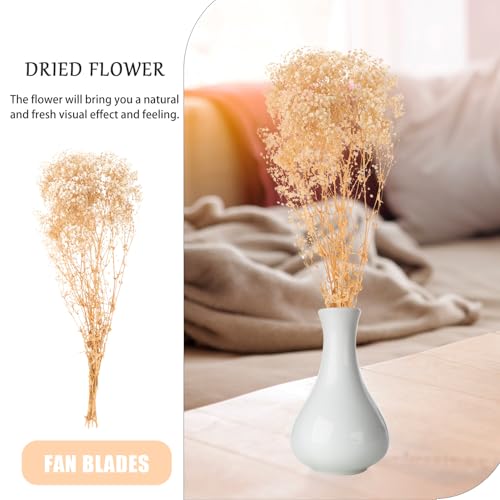 Ramo de Flores Secas Gypsophila Beige 120g Homoyoyo miniatura 7