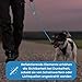 Testnote: Sehr gut - Hundeleine reflektierend I 2m, verstellbar, wetterfest & reißfest bis 250 kg I Paracord Führleine, Umhängeleine I kleine - große Hunde