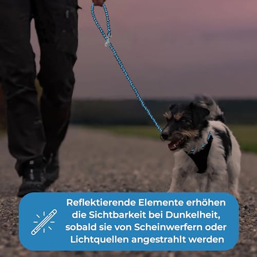 Testnote: Sehr gut - Hundeleine reflektierend I 2m, verstellbar, wetterfest & reißfest bis 250 kg I Paracord Führleine, Umhängeleine I kleine - große Hunde