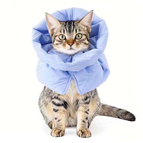 KomiiGUxXJ[ Lp z y \tg K \ 􂦂  K[h g p 畆a ی rߖh~ ~h~ Dp p (炢, r)