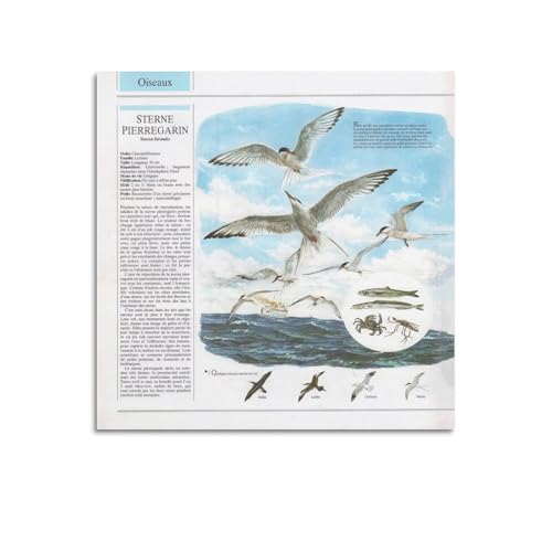 Poster d'art mural moderne d'oiseau pour illuminer votre chambre