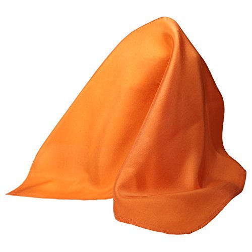 Royal Silk Fine Orange 100% Silk Pocket Square Full-Sized 16