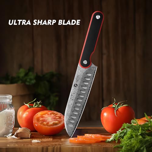 Image of FINTISO Chef Knife 7 Inch Kitchen Knife, Sharp Santoku Knife 67-Layer Damascus Steel with 10Cr15CoMoV Steel Core, Professional Cooking Knife with Ergonomic Full Tang G10 Handle for Chopping Slicing