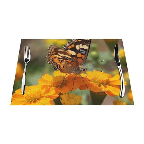 Lot de 4 sets de table antidérapants lavables en PVC pour cuisine