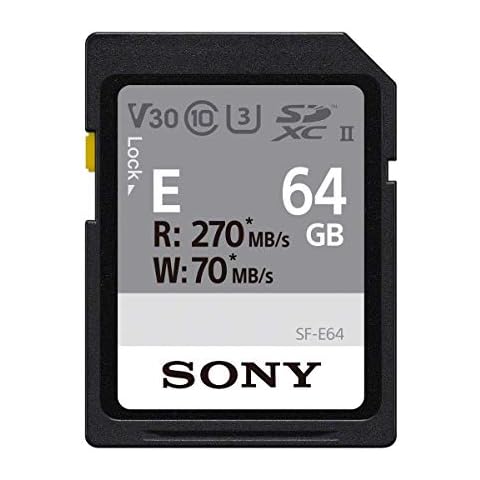 Sony E Series 64GB SDXC UHS-II Card Cover