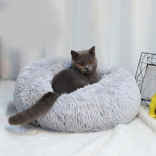 [ADSNS] ybgxbh J[3 ی^ 􂦂 I[V[Y 킢 L ^ ^ ^ 70 sN CgO[ @Ŋې ӂӂ ӂӂ  ӂ ybgNbV 傫