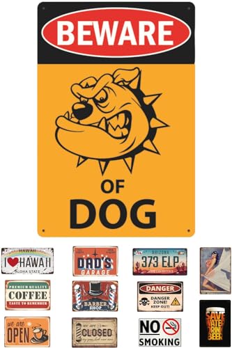 gJ uLŔ S120 AJ G io[ v[g g K[W  oCN AeB[N CeA a Be[W ((e1), NO.1)