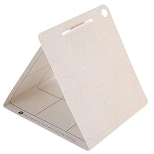 EVTSCAN 6st Moth Pest Trap Lijm Niet-giftige Insecten Lijm Vallen Fly Killer