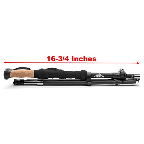 image for Cascade Mountain Tech Trekking Poles - Carbon Fiber Folding Walking St
