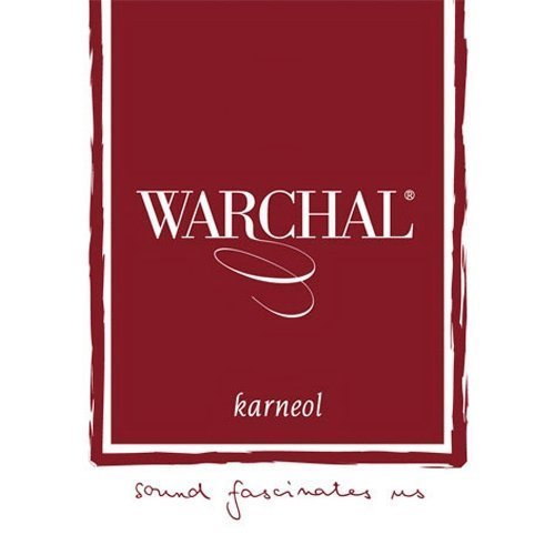 Warchal Karneol Violin String Set Ball End #TOP4