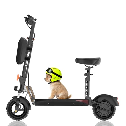 Ruitoo® Electric Scooter RT6