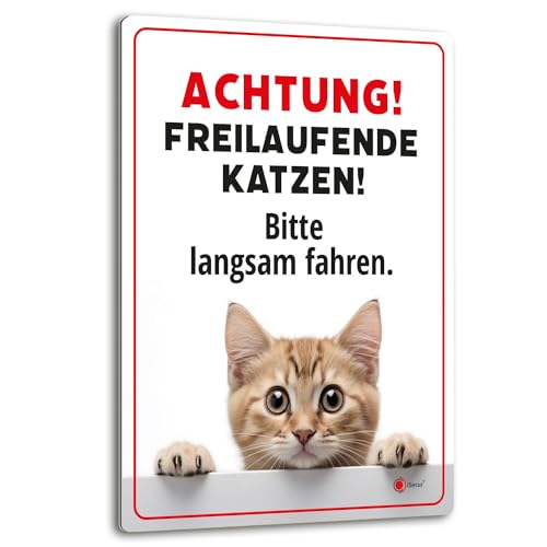 Achtung freilaufende Katzen 30 x 40 cm Hinweis-Schild I Warnschild I Aluverbund I az147