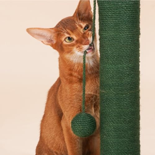 Rascador para gatos ZEZE cactus desierto 25 pulgadas miniatura 3