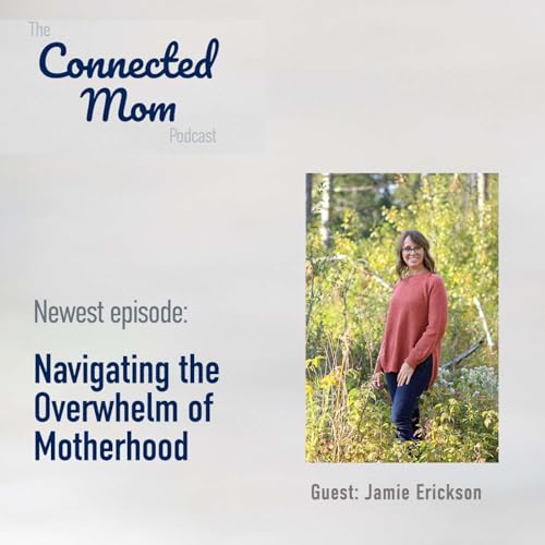 Page de couverture de Navigating the Overwhelm of Motherhood