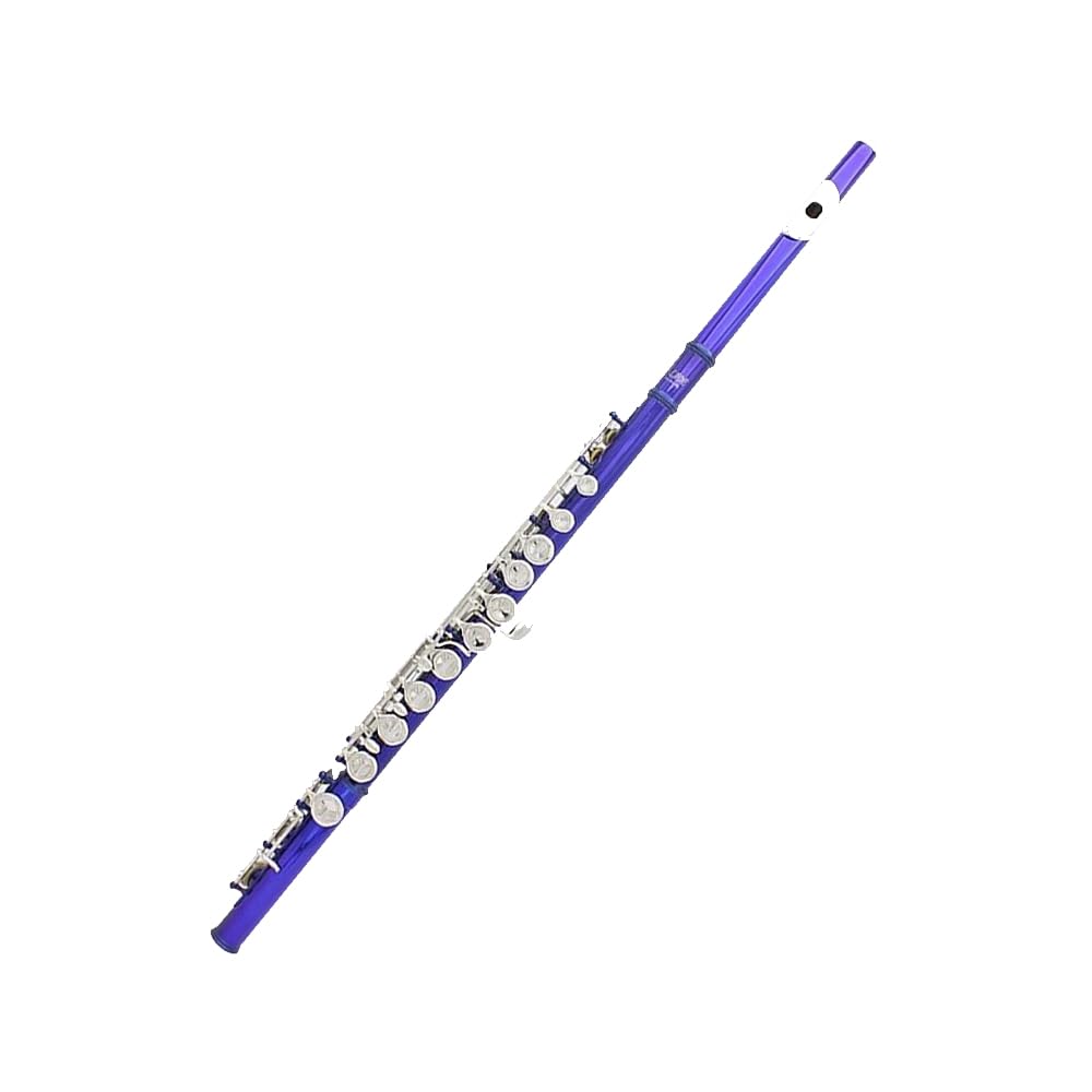 HCZKIUJY 16 Hole Flute C Key Multicolor Flute, Nickel Plated Closed Keys/Plus E Key, Professional Brass Instrument Flute,J (D)