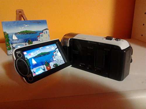 Panasonic HDC-SD40 (SD/SDHC/SDXC Card)