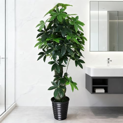 lHϗtA^AtFCNO[AtFCNAA70-240cmA A Ce AAA tApL  K ؁AV̖؁AXeAItBXA AA A؁AVv AMt gAVzj (pL, 90 cm)