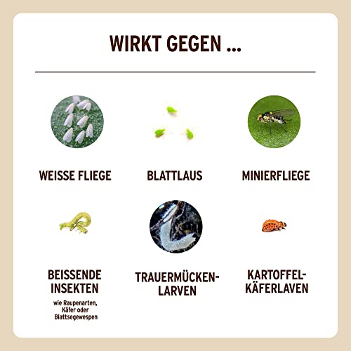 Substral Naturen Bio Schädlingsfrei Neem, 75ml Konzentrat gegen saugende und beißende Schädlinge an Gemüse- und Zierpflanzen
