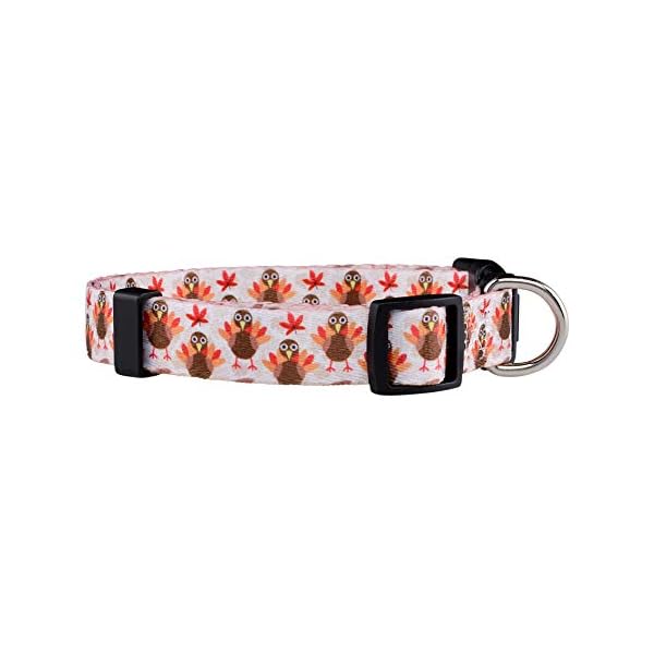 Native Pup Thanksgiving Dog Collar, Cute Fall, Autumn, Turkey Holiday Design, Adjustable Nylon Small, Medium, Large (Turkey, Medium) Native Pup Thanksgiving Dog Collar, Cute Fall, Autumn, Turkey Holiday Design, Adjustable Nylon Small, Medium, Large (Turkey, Medium)