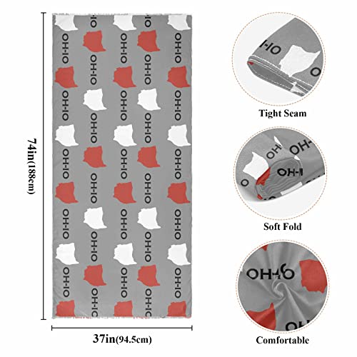 BGXW scarfs for Women's Shawls and Wraps Winter Warm Long Scarves3