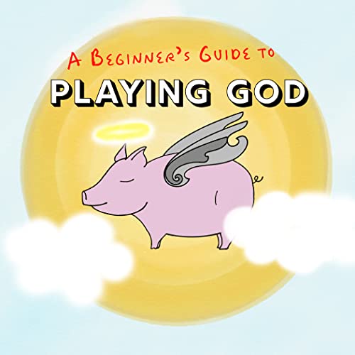 A Beginner's Guide to Playing God cover art