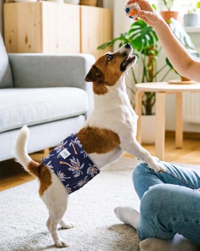 Image of CuteBone Dog Diapers Male 4 Pack Puppy Wraps Reusable Doggie Belly Bands for Male Dogs Small Medium Large