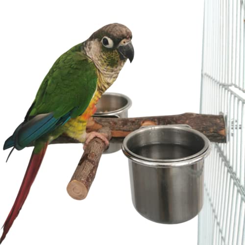 Barn Eleven Bird Wood Stand Perch With Stainless Steel Food Water Feeding Bowl For Parrot Parakeet Cockatiel Cage Accessories (Small) #TOP5