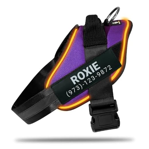 DOGGYKINGDOM Personalized No Pull 360° LED Dog Harness with Custom Name Patches, USB Rechargeable, Adjustable, Reflective for Night Walks, Rainproof Module with 3 Modes Lasts up to 24h, Purple, XL