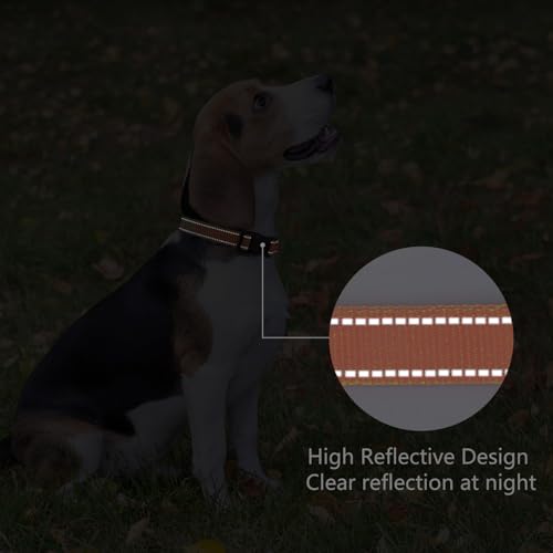 Image of Reflective Dog Collar, Adjustable Nylon for Medium Dogs,Orange