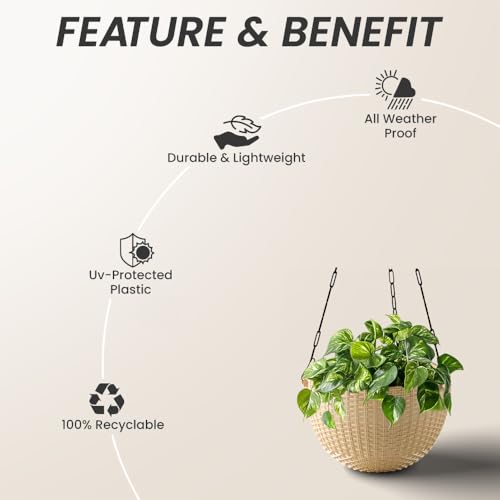 Image of YUCCABE ITALIA SHERA URO-Basket Plastic Flower Pot with Drainage Holes Round Planter Pot Suitable for Inddor Outdoor Kitchen (Beige, 6 INCH - 12 Pcs)