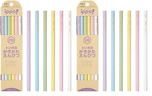 g{M M ippo! ҂ 2B pXe 1_[X KB-KNPT01-2B (× 2)