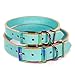Handmade Spiked Personalized Bridle Leather Dog Collar, Rainbow Hardware, Embossed Name (Robin's Egg Blue)