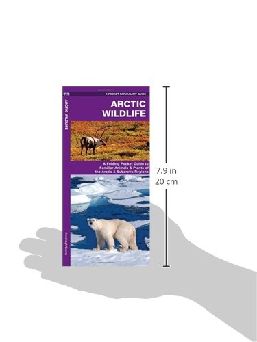 Arctic Wildlife: A Folding Pocket Guide to Familiar Animals & Plants of the Arctic and Subarctic Regions (Nature Observation International) - Image 5