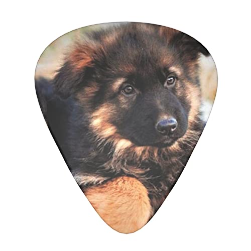 Médiators en celluloïd coloré en forme de chien – 3 épaisseurs différentes – Pour les amateurs de musique – Pour guitare électrique et acoustique – 0,46 mm, 0,71 mm, 0,96 mm - Les Beatles, Paul McCartney, John Lennon, RIngo Starr, George Harrison Médiators en celluloïd coloré en forme de chien - 3 épaisseurs différentes - Pour les amateurs de musique - Pour guitare électrique et acoustique - 0,46 mm, 0,71 mm, 0,96 mm